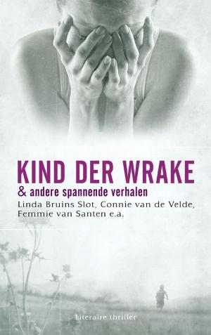 Cover of the book Kind der wrake by Hetty Luiten