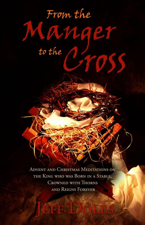 Cover of the book From the Manger to the Cross by Jeff Doles, Walking Barefoot Ministries