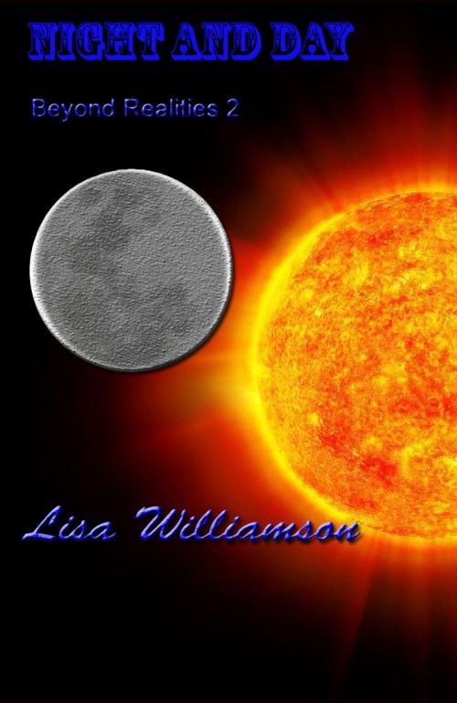 Cover of the book Night and Day by Lisa Williamson, self published