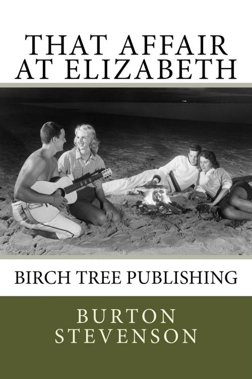 Cover of the book That Affair at Elizabeth by Burton E Stevenson, Birch Tree Publishing
