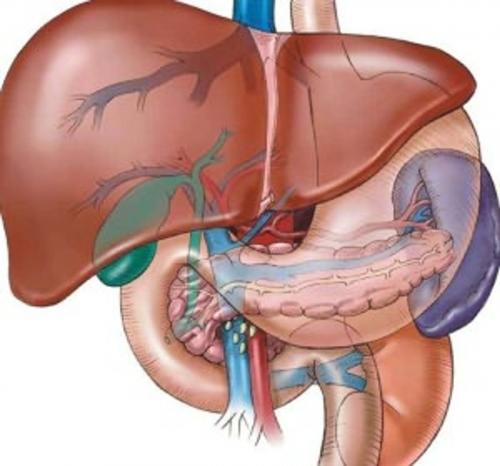 Cover of the book Acute Liver Failure: Causes, Symptoms and Treatments by David Davis, Axel Publishing