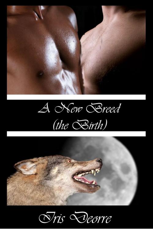 Cover of the book The Birth by Iris Deorre, Iris Deorre