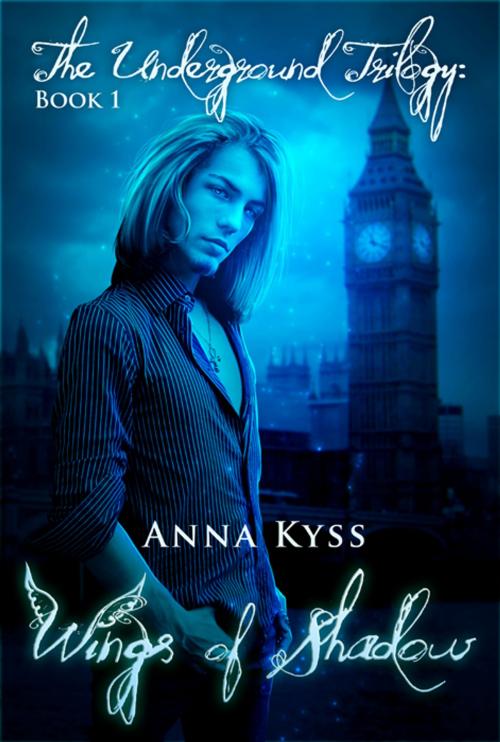 Cover of the book Wings of Shadow by Anna Kyss, Kyss Publishing