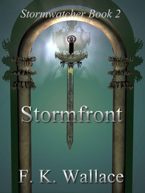 Cover of the book Stormfront by Fiona Wallace, Seaglass Australia