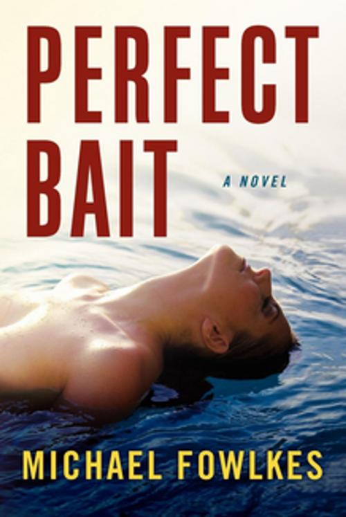 Cover of the book Perfect Bait by Michael Douglas Fowlkes, Thunderbird Press