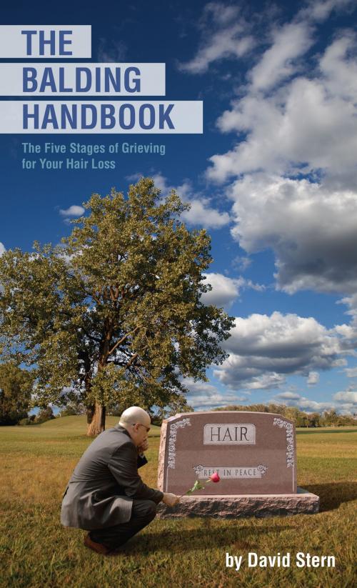 Cover of the book The Balding Handbook by David Stern, Eckhartz Press