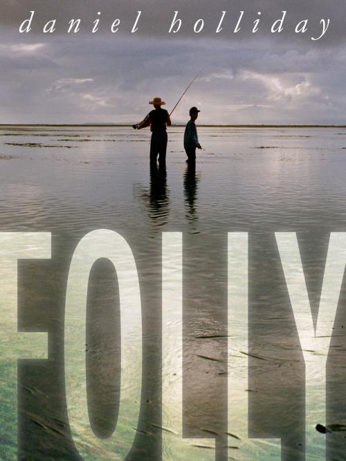 Cover of the book Folly by Daniel Holliday, Story Bridge Books