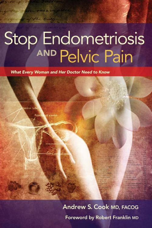 Cover of the book Stop Endometriosis and Pelvic Pain by Andrew S Cook, MD, FACOG, Femsana Press, LLC