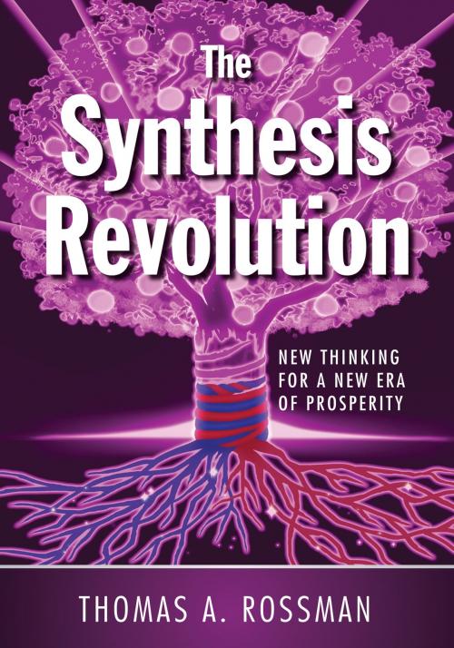 Cover of the book The Synthesis Revolution by Thomas A. Rossman, Eudaimonia Publishing