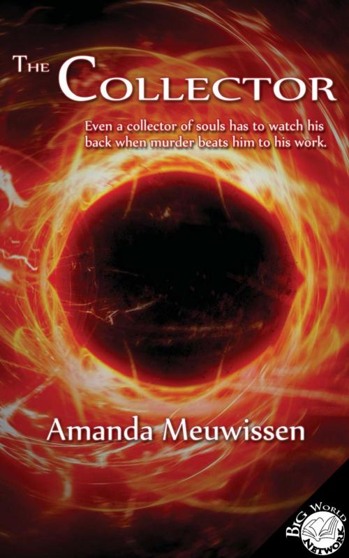 Cover of the book The Collector by Amanda Meuwissen, ebookit