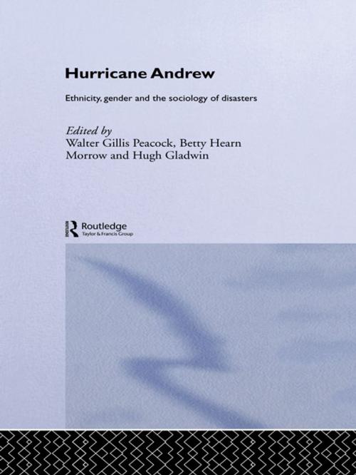 Cover of the book Hurricane Andrew by , Taylor and Francis