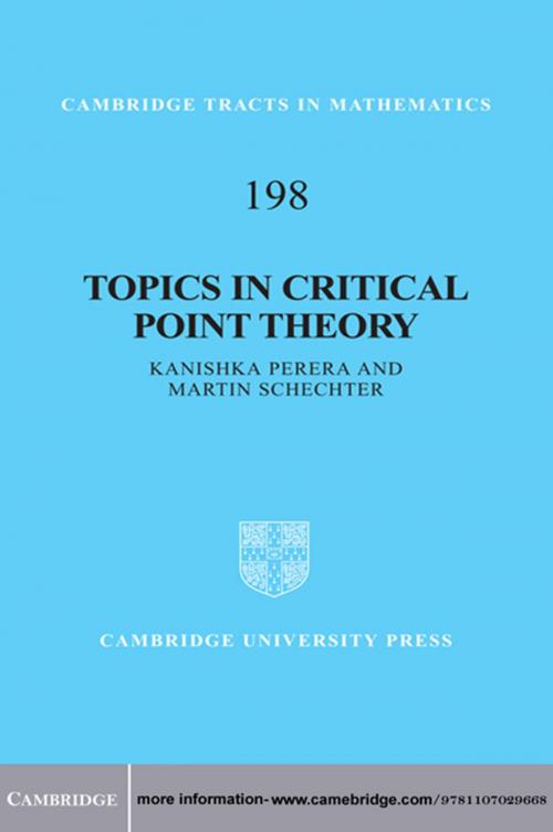 Cover of the book Topics in Critical Point Theory by Martin Schechter, Kanishka Perera, Cambridge University Press