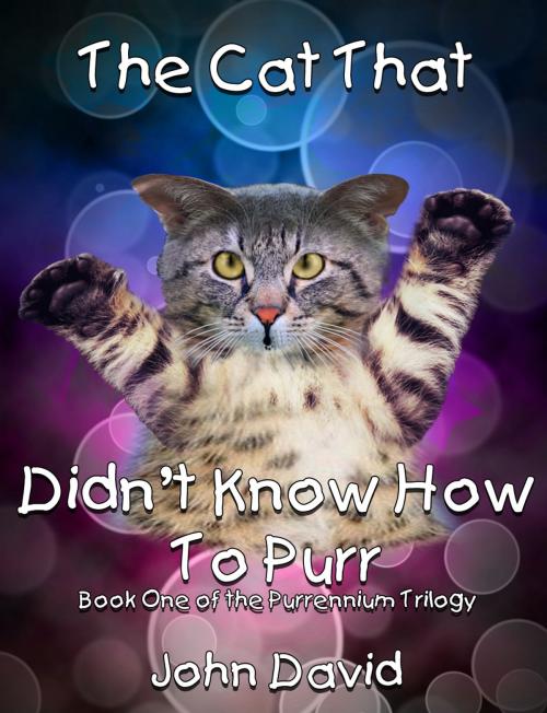 Cover of the book The Cat That Didn't Know How to Purr (Book One) by John David, The Purrennium Group