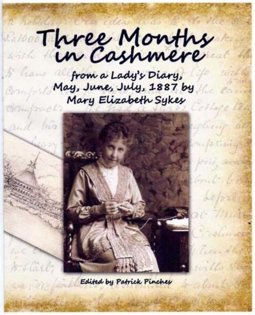 Cover of the book Three Months in Cashmere by Patrick Pinches, Patrick Pinches