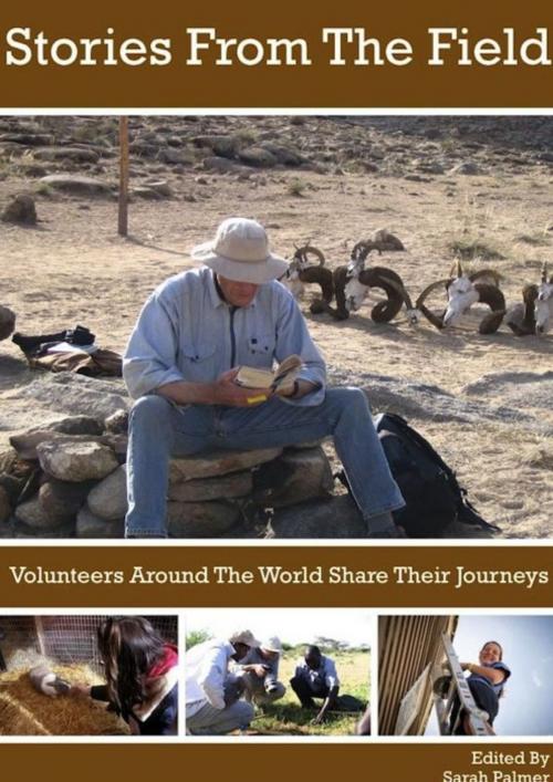 Cover of the book Stories From The Field: Volunteers Around The World Share Their Journeys by Sarah Vandenberg, Sarah Vandenberg