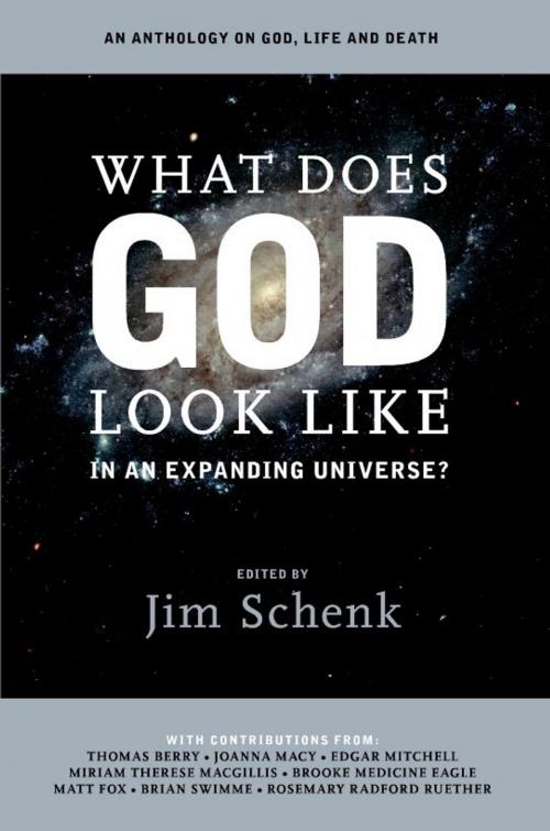 Cover of the book What Does God Look Like in an Expanding Universe? by Jim Schenk, Jim Schenk