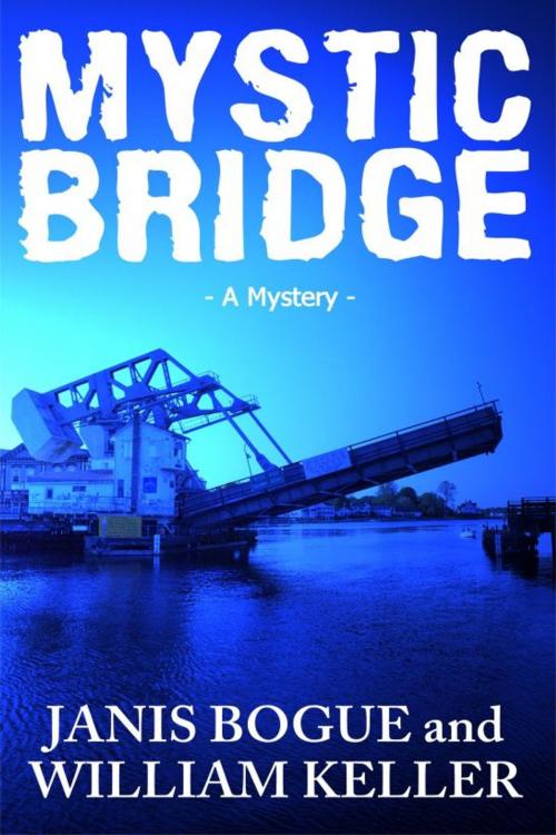 Cover of the book Mystic Bridge by Janis Bogue, Janis Bogue