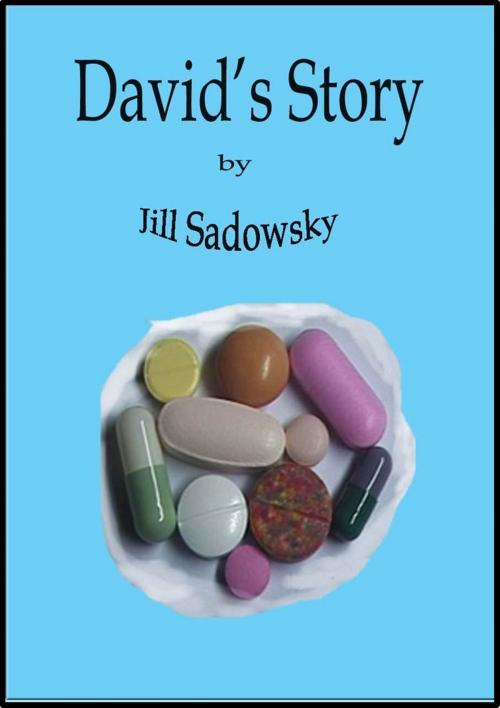 Cover of the book David's Story by Jill Sadowsky, Jill Sadowsky