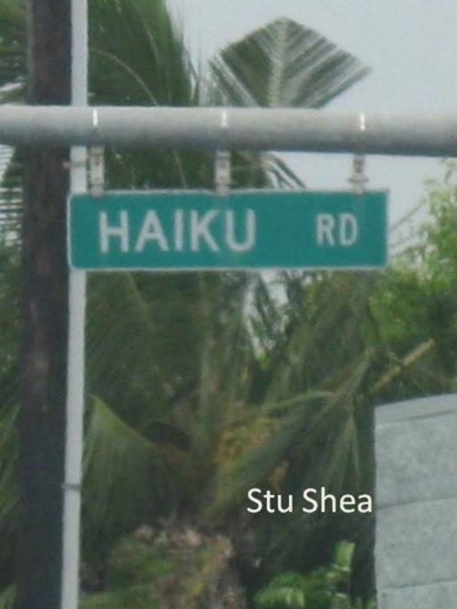 Cover of the book Haiku Road by Stu Shea, Stu Shea