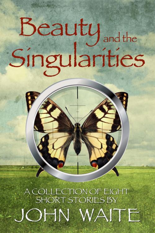 Cover of the book Beauty and the Singularities, a Collection of Eight Short Stories by john waite, john waite