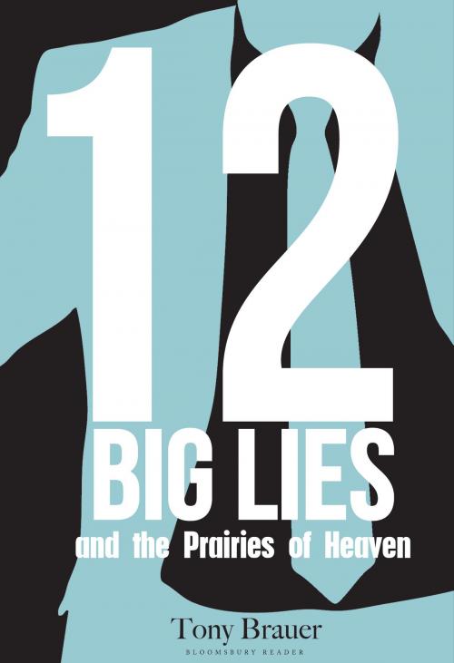 Cover of the book 12 Big Lies and the Prairies of Heaven by Tony Brauer, Bloomsbury Publishing