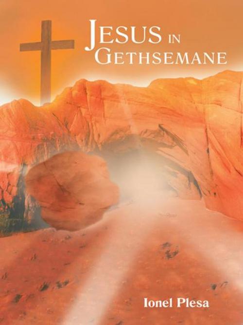 Cover of the book Jesus in Gethsemane by Ionel Plesa, WestBow Press