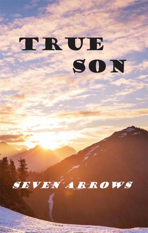 Cover of the book True Son by Seven Arrows, Balboa Press