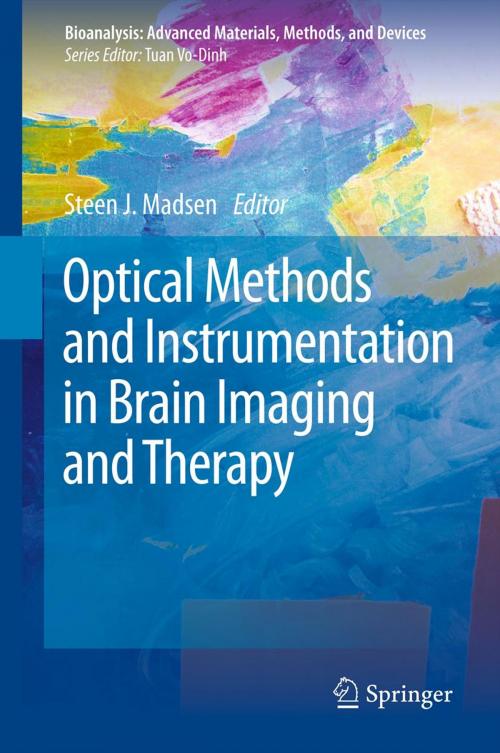 Cover of the book Optical Methods and Instrumentation in Brain Imaging and Therapy by , Springer New York