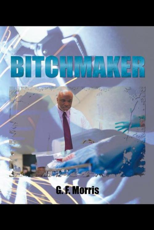 Cover of the book Bitchmaker by G.F. Morris, AuthorHouse