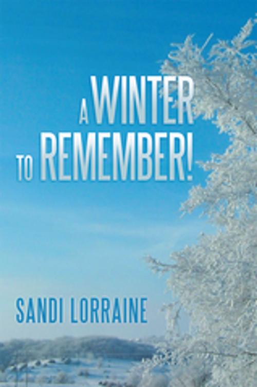 Cover of the book A Winter to Remember! by Sandi Lorraine, Xlibris US