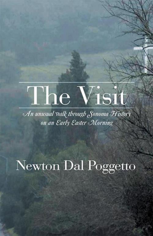 Cover of the book The Visit by Newton Dal Poggetto, Xlibris US