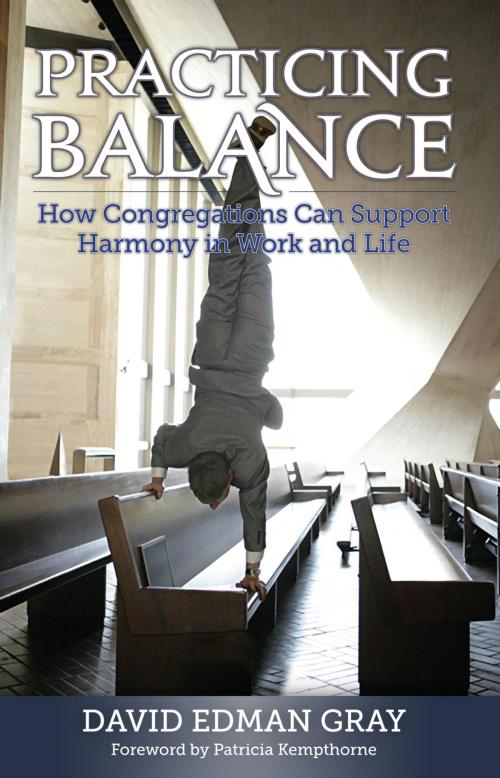 Cover of the book Practicing Balance by David Edman Gray, Rowman & Littlefield Publishers