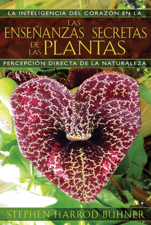 Cover of the book Las enseñanzas secretas de las plantas by Stephen Harrod Buhner, Inner Traditions/Bear & Company
