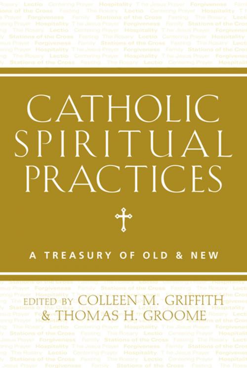 Cover of the book Catholic Spiritual Practices by , Paraclete Press