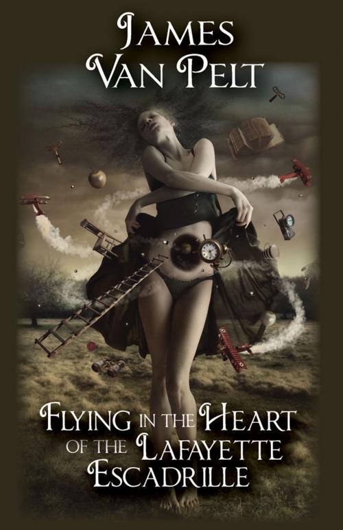 Cover of the book Flying in the Heart of the Lafayette Escadrille by James Van Pelt, Fairwood Press