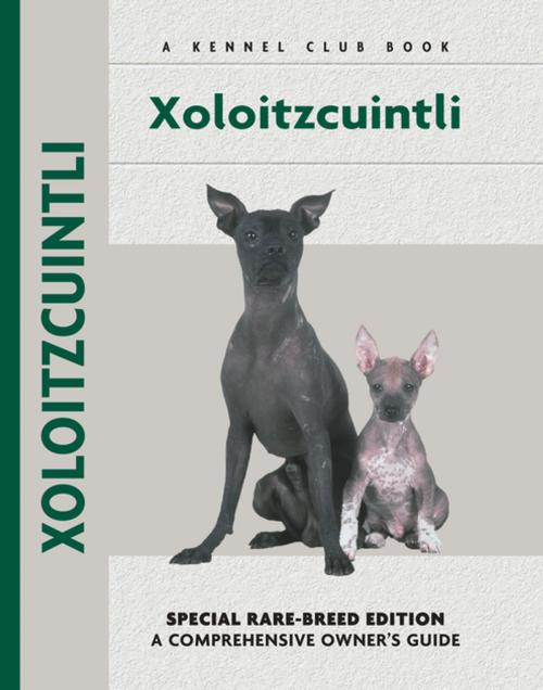 Cover of the book Xoloitzcuintli by Amy Fernandez, CompanionHouse Books