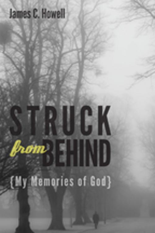 Cover of the book Struck from Behind by James C. Howell, Wipf and Stock Publishers
