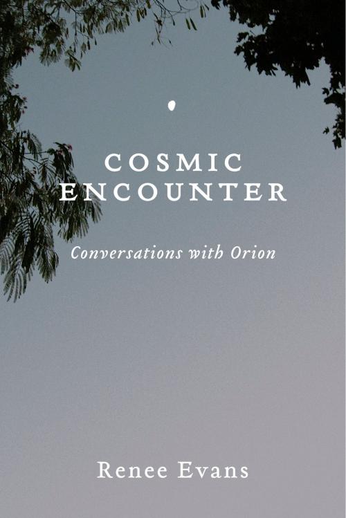 Cover of the book Cosmic Encounter by Renee Evans, BookBaby