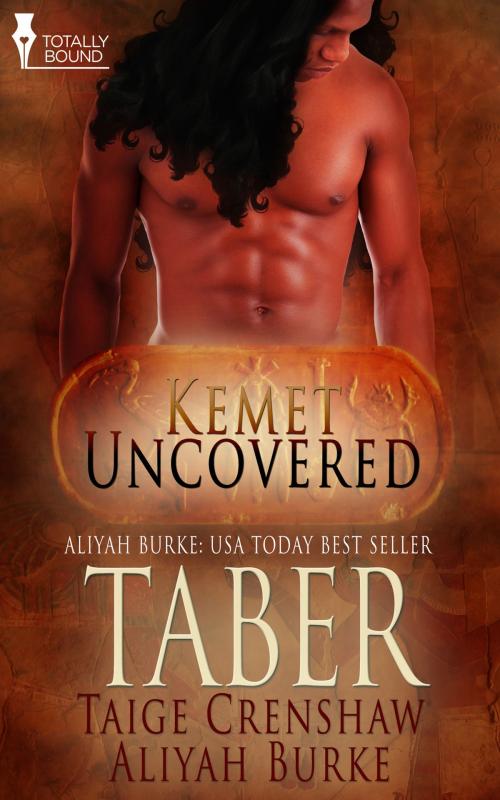 Cover of the book Taber by Aliyah Burke, Taige Crenshaw, Totally Entwined Group Ltd