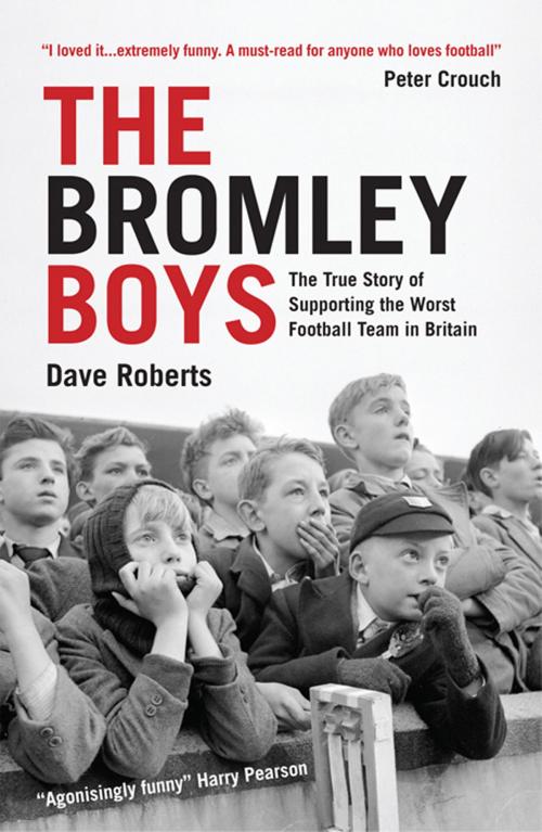 Cover of the book The Bromley Boys by David Roberts, Pavilion Books