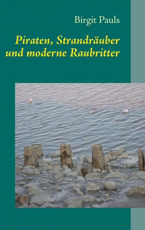 Cover of the book Piraten, Strandräuber und moderne Raubritter by Birgit Pauls, Books on Demand