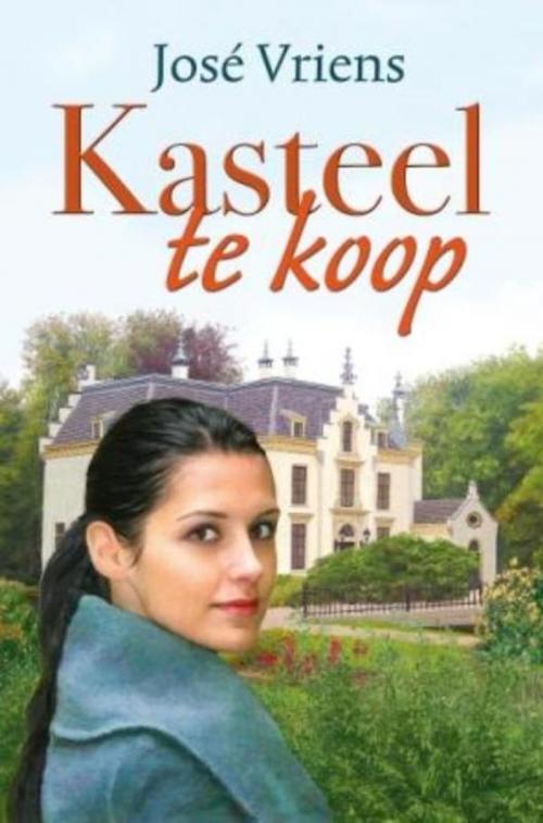 Cover of the book Kasteel te koop by José Vriens, VBK Media