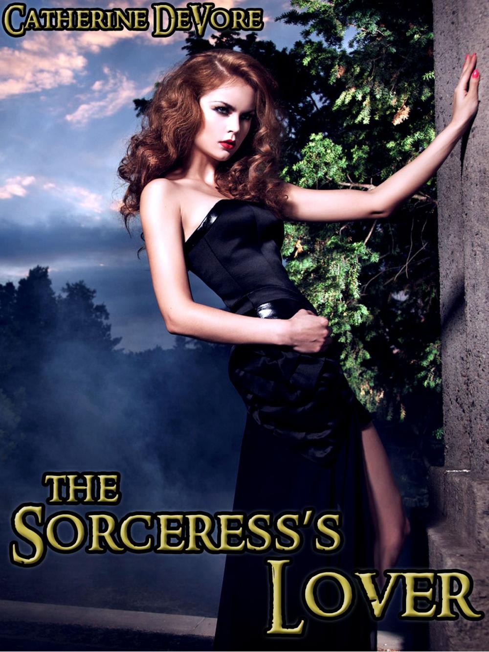 Big bigCover of The Sorceress's Lover