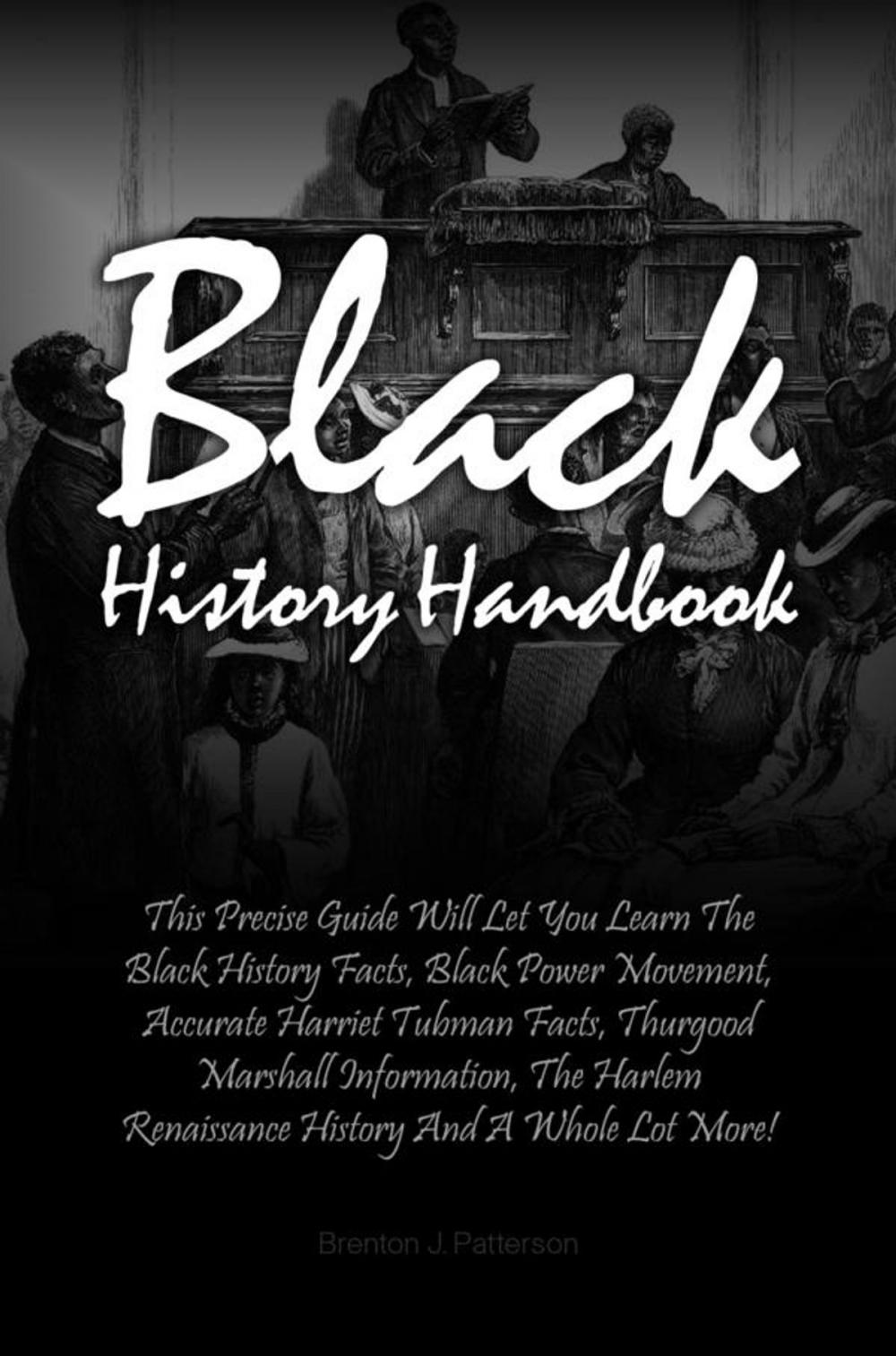 Big bigCover of Black History Handbook