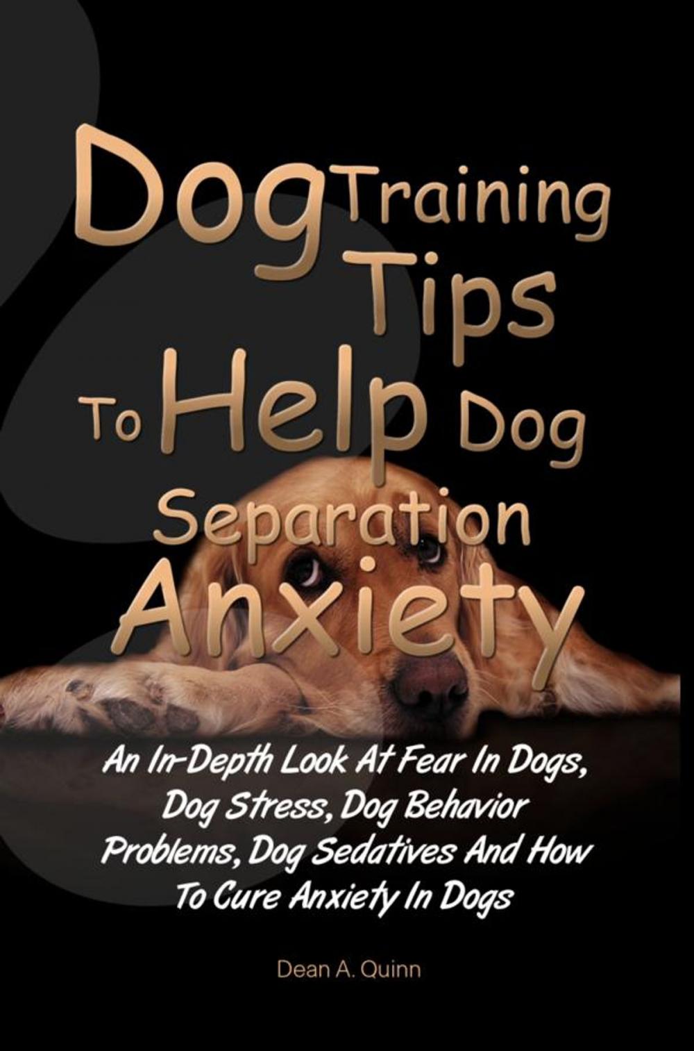 Big bigCover of Dog Training Tips To Help Dog Separation Anxiety