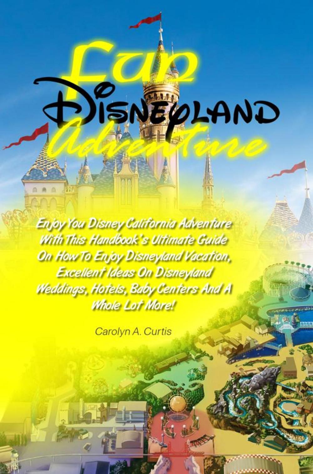 Big bigCover of Fun Disneyland Adventure