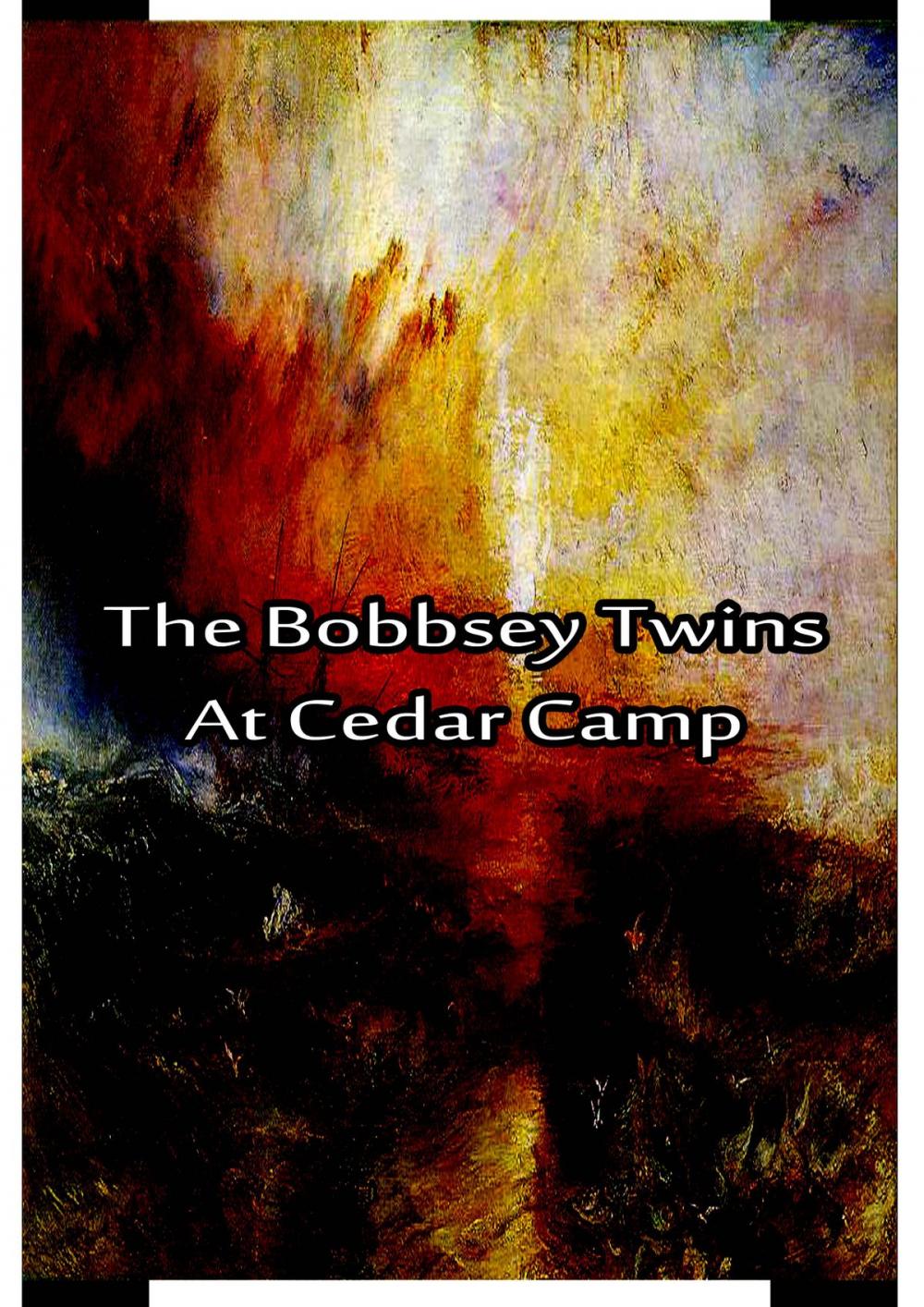 Big bigCover of The Bobbsey Twins at Cedar Camp