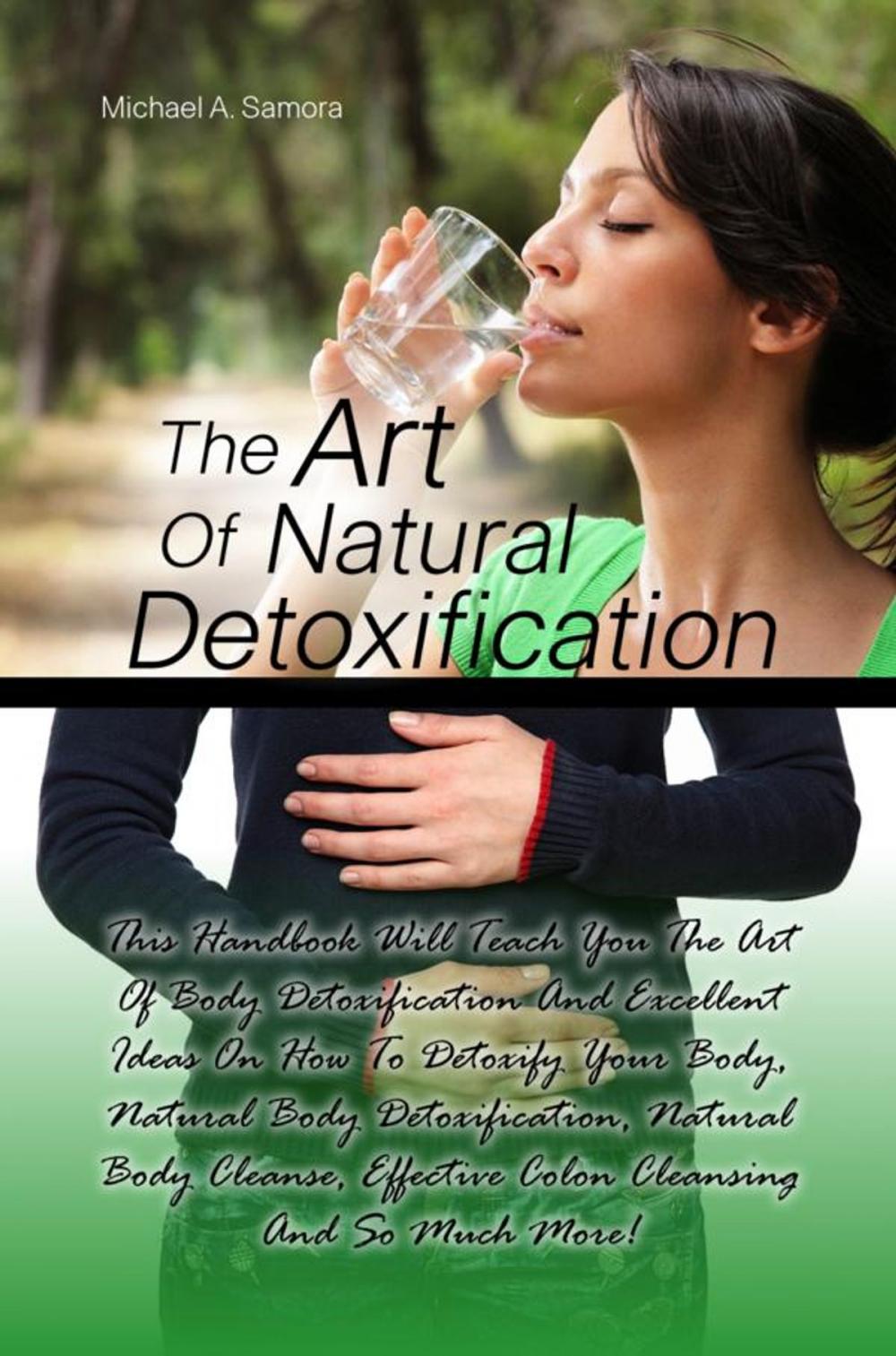 Big bigCover of The Art Of Natural Detoxification