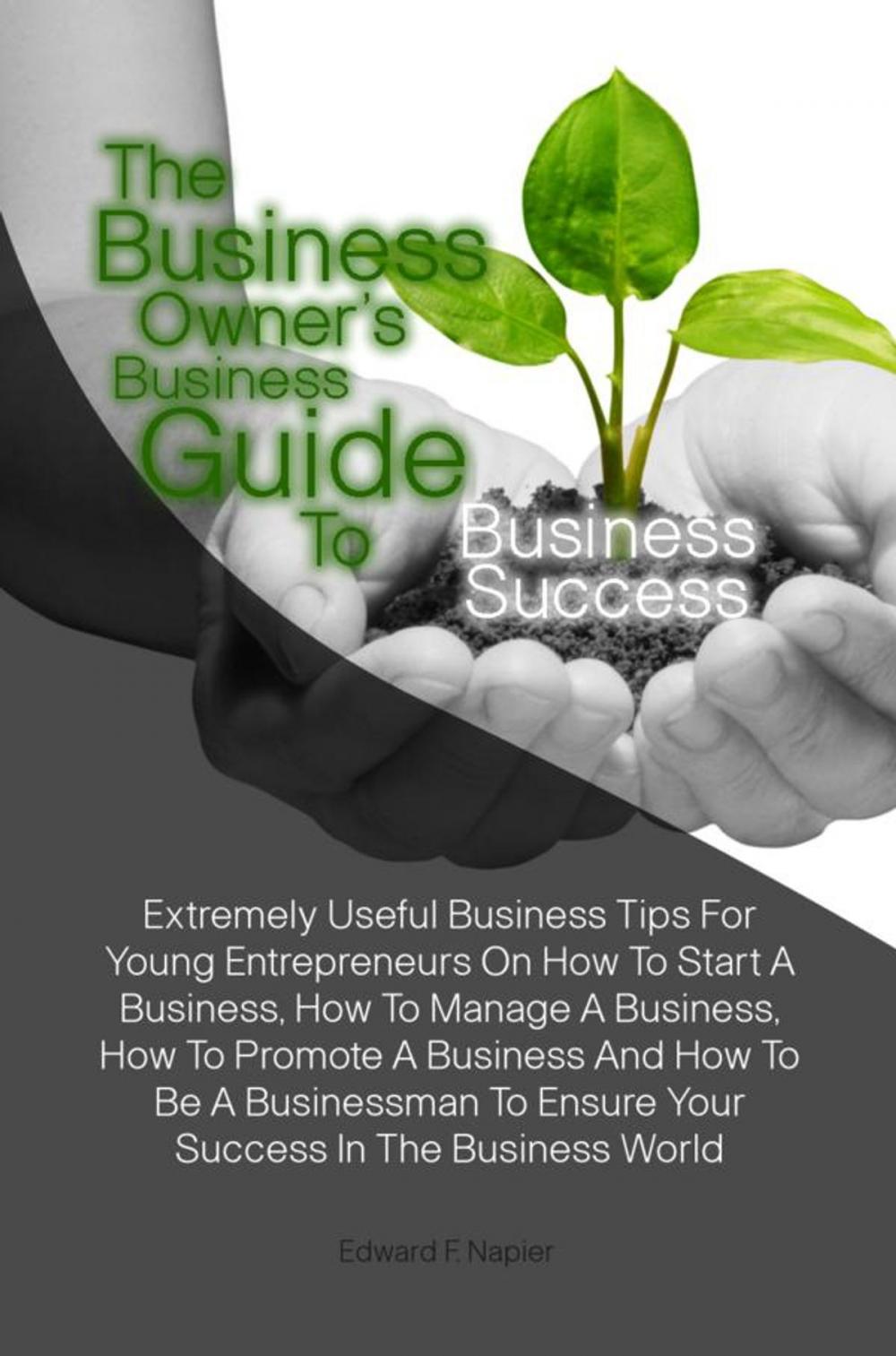 Big bigCover of The Business Owner’s Business Guide To Business Success