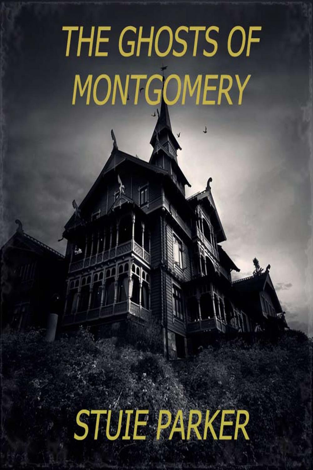 Big bigCover of The Ghosts Of Montgomery